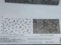 AP61108 Fiore Oxford (Rotondo)[Tessile / Tessuto] COSMO TEXTILE Foto secondaria