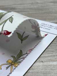 AP61108 Fiore Oxford (Rotondo)[Tessile / Tessuto] COSMO TEXTILE Foto secondaria