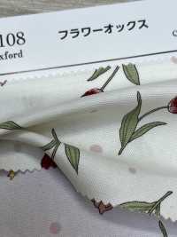 AP61108 Fiore Oxford (Rotondo)[Tessile / Tessuto] COSMO TEXTILE Foto secondaria