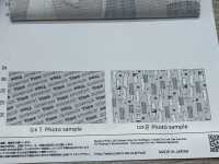 AP61109 Lala Labo Oxford (Rotolo Rotondo)[Tessile / Tessuto] COSMO TEXTILE Foto secondaria