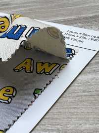 AP61109 Lala Labo Oxford (Rotolo Rotondo)[Tessile / Tessuto] COSMO TEXTILE Foto secondaria