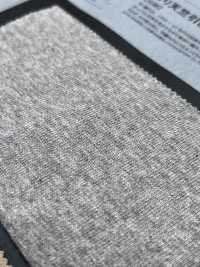 1076535 Tenjiku Appeso (Un Tipo Di Tessuto Jersey)[Tessile / Tessuto] TAKISADA NAGOYA Foto secondaria