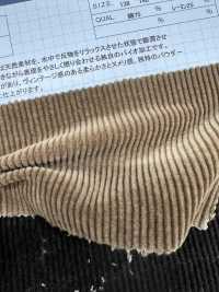 ND7035 Cotone/Modal 9W Velluto A Coste Nidom Bio-processato[Tessile / Tessuto] Kumoi Beauty Foto secondaria