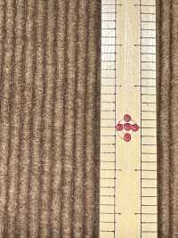 ND7035 Cotone/Modal 9W Velluto A Coste Nidom Bio-processato[Tessile / Tessuto] Kumoi Beauty Foto secondaria