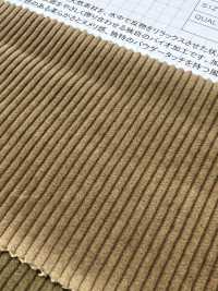 ND7025 Velluto A Coste Organico Shankar 9W Bio-processato[Tessile / Tessuto] Kumoi Beauty Foto secondaria