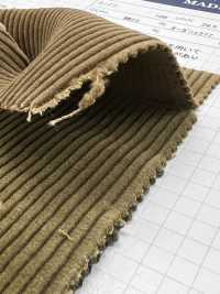 ND7025 Velluto A Coste Organico Shankar 9W Bio-processato[Tessile / Tessuto] Kumoi Beauty Foto secondaria