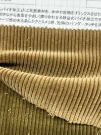 ND7025 Velluto A Coste Organico Shankar 9W Bio-processato[Tessile / Tessuto] Kumoi Beauty Foto secondaria