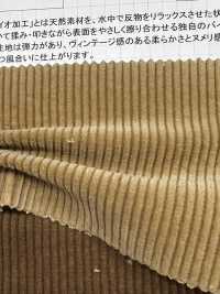 ND7005 9W Velluto A Coste Velluto A Coste Con Trattamento Biologico Nidom[Tessile / Tessuto] Kumoi Beauty Foto secondaria