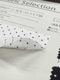 B88191Z Tessuto Di Cotone A 60 Fili, Fantasia A Pois/righe, Piegato A Metà[Tessile / Tessuto] VANCET Foto secondaria