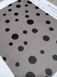 KKP8110-520R Rete Elettrica Di Samora[Tessile / Tessuto] Uni Textile(Komon Studio) Foto secondaria