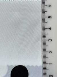 KKP9934-W-SB-128 De Chine A Fibra Divisa Ad Ampia Larghezza[Tessile / Tessuto] Uni Textile(Komon Studio) Foto secondaria