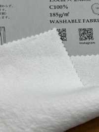 BF6320 Viyella Pre-tinta A 20 Fili Con Finitura Lavata.[Tessile / Tessuto] KOYAMA Foto secondaria