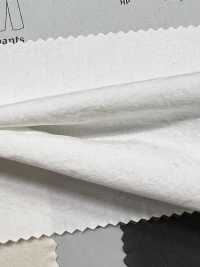 BF4040 Tela Pre-tinta 40 Con Finitura Lavata[Tessile / Tessuto] KOYAMA Foto secondaria