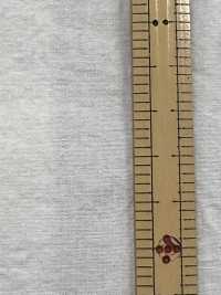 BF4040 Tela Pre-tinta 40 Con Finitura Lavata[Tessile / Tessuto] KOYAMA Foto secondaria