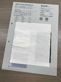 BF4040 Tela Pre-tinta 40 Con Finitura Lavata[Tessile / Tessuto] KOYAMA Foto secondaria
