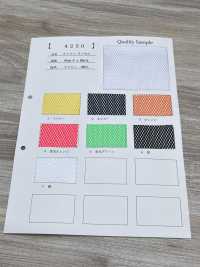 4250 [Liner] Foto secondaria