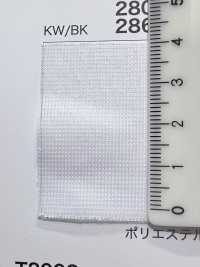 2861 [Liner] Foto secondaria