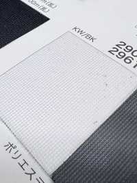 2900 [Liner] Foto secondaria