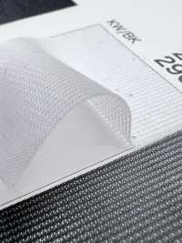 2900 [Liner] Foto secondaria