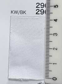 2900 [Liner] Foto secondaria