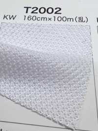 T2002 [Liner] Foto secondaria