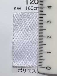 T2002 [Liner] Foto secondaria