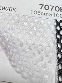 7070H [Liner] Foto secondaria