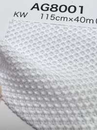 AG8001 [Liner] Foto secondaria