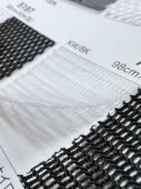 7509 [Liner] Foto secondaria