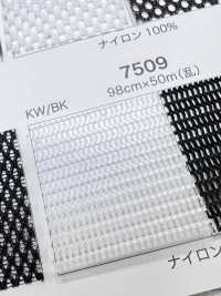 7509 [Liner] Foto secondaria