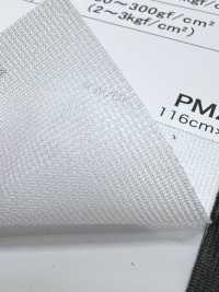 PM2900 [Liner] Foto secondaria