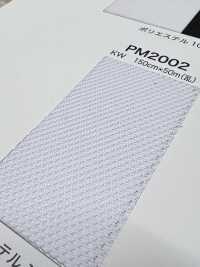 PM2002 [Liner] Foto secondaria