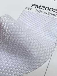 PM2002 [Liner] Foto secondaria