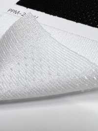 PPM-2 [Liner] Foto secondaria