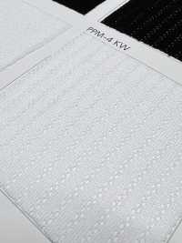 PPM-4 [Liner] Foto secondaria