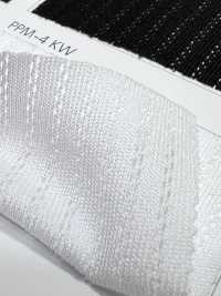 PPM-4 [Liner] Foto secondaria