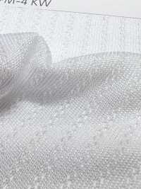 PPM-4 [Liner] Foto secondaria