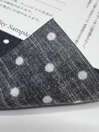 1930-DOT Tessuto Takashima Chijimi, Motivo A Pois[Tessile / Tessuto] Foto secondaria