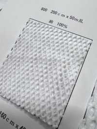 800 [Liner] Foto secondaria