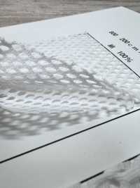 800 [Liner] Foto secondaria