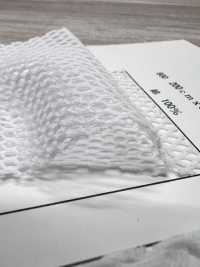 800 [Liner] Foto secondaria