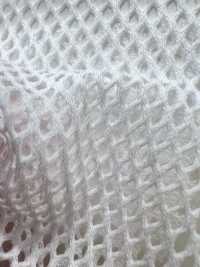 800 [Liner] Foto secondaria