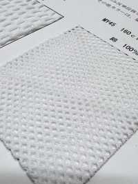 MY45 [Liner] Foto secondaria