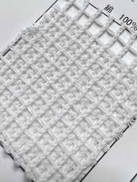 1430 [Liner] Foto secondaria