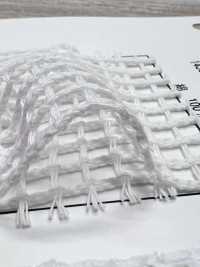 1430 [Liner] Foto secondaria