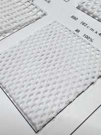 880 [Liner] Foto secondaria