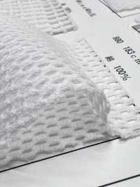 880 [Liner] Foto secondaria