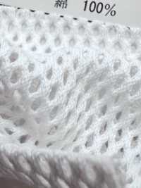 880 [Liner] Foto secondaria