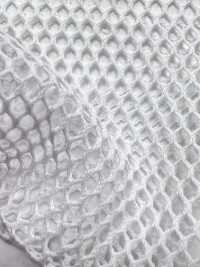 T800 [Liner] Foto secondaria