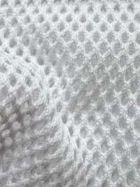 8800 [Liner] Foto secondaria